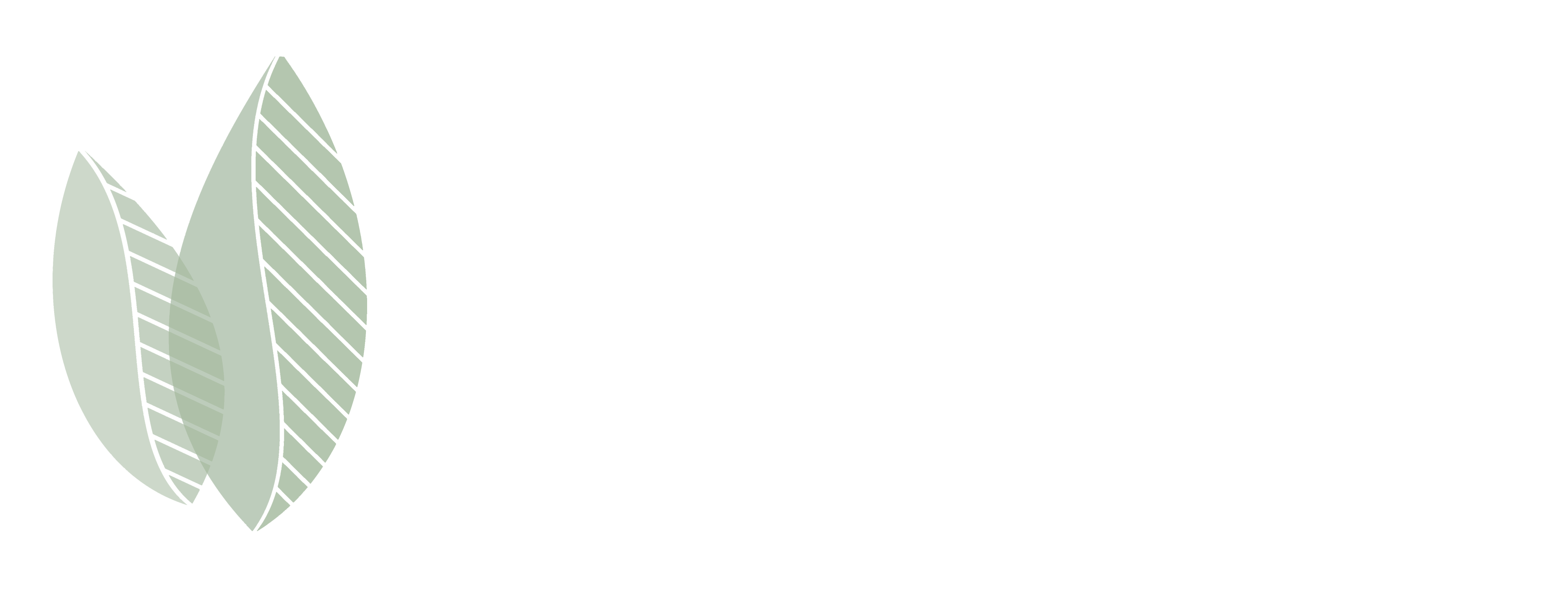 Village River Park